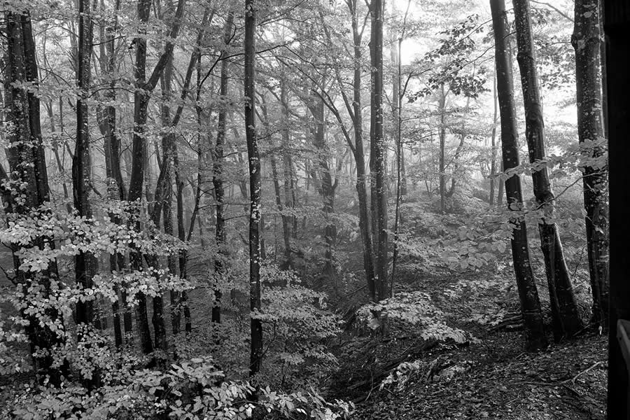 Black and White Landscape Winners 2025 reFocus Photography Awards