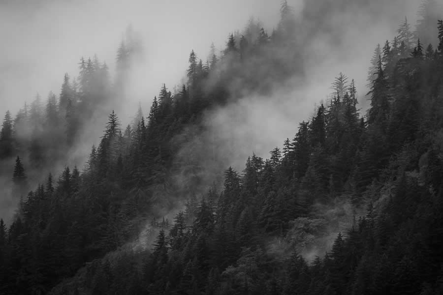 Black and White Landscape Winners 2025 reFocus Photography Awards