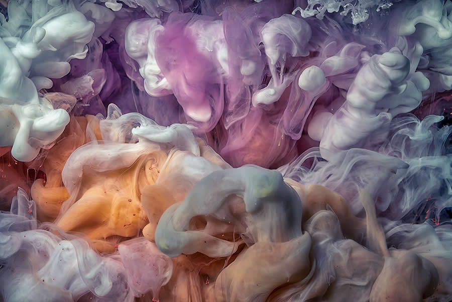 Refocus 2025 Color Photography Awards Winners