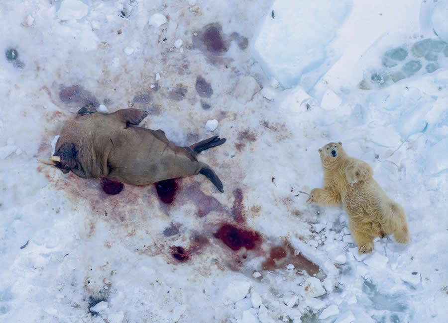 Refocus 2025 Color Photography Awards Winners