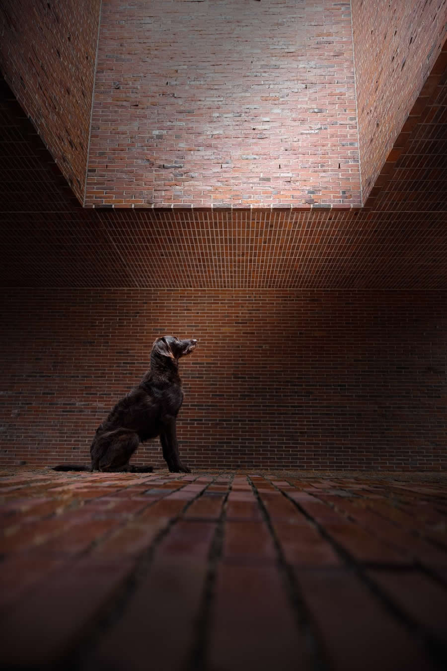 Refocus 2025 Color Photography Awards Winners