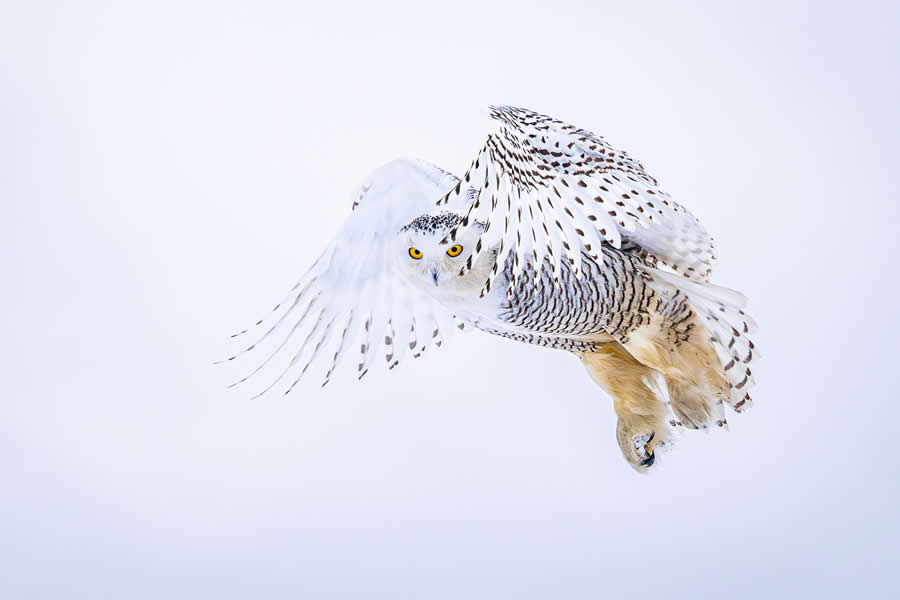 Refocus 2025 Color Photography Awards Winners