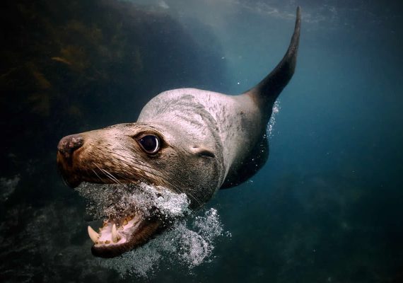 25 Remarkable Winning Photos from the Refocus 2025 Color Photography Awards