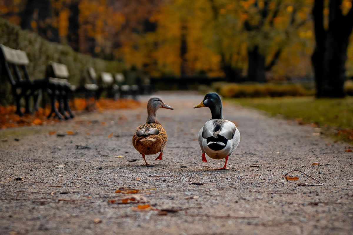 30 Beautiful Photos That Show What Happens When You Shoot with Heart
