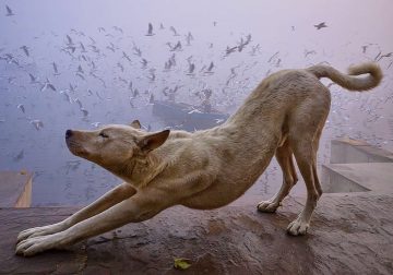 5 Amazing Tips to Turn a Simple Scene into a Powerful Visual Story by Vineet Vohra