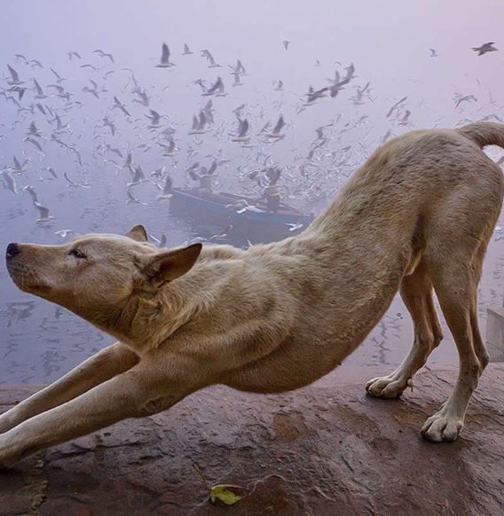 5 Amazing Tips to Turn a Simple Scene into a Powerful Visual Story by Vineet Vohra