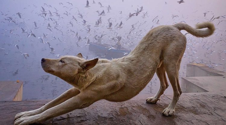 Simple Scene into a Powerful Visual Story by Vineet Vohra