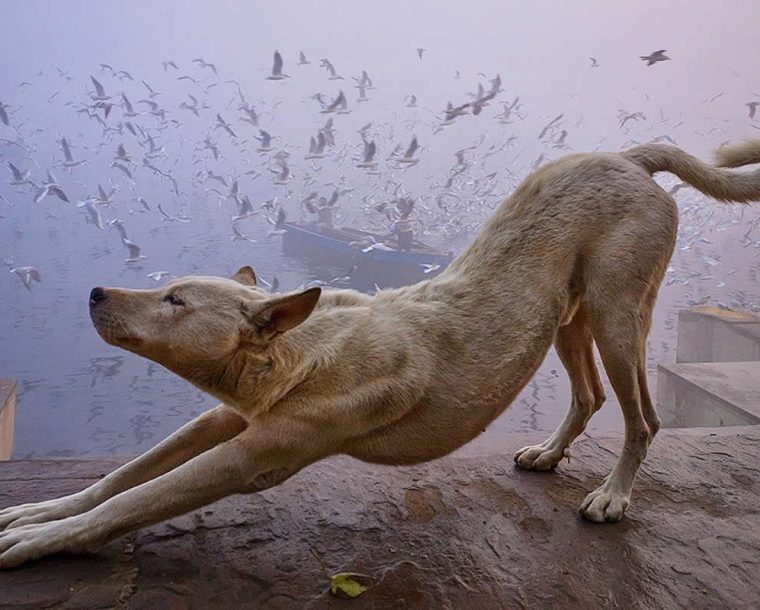 5 Amazing Tips to Turn a Simple Scene into a Powerful Visual Story by Vineet Vohra