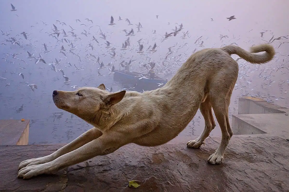 Simple Scene into a Powerful Visual Story by Vineet Vohra