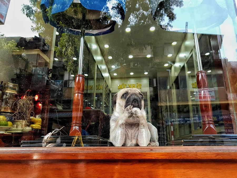 Street Phootography by Chu Viet Ha
