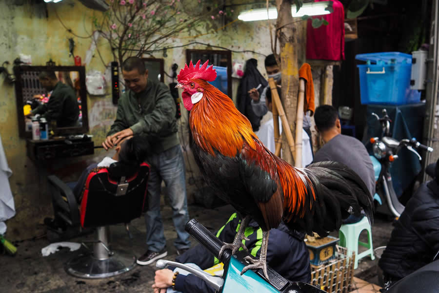 Street Phootography by Chu Viet Ha