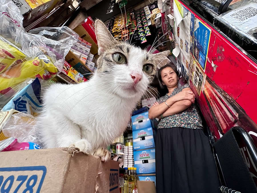 Street Phootography by Chu Viet Ha