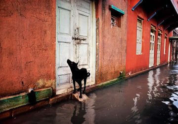 Striking Color Photos by Legendary Photographers