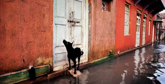 30 Striking Color Photos by Legendary Photographers That Showcase Pure Visual Art