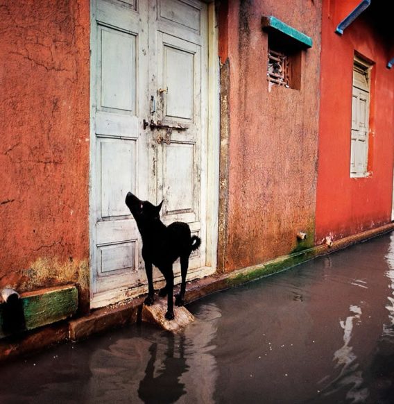 30 Striking Color Photos by Legendary Photographers That Showcase Pure Visual Art