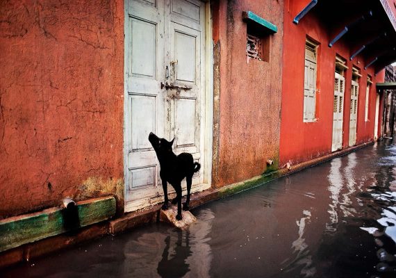30 Striking Color Photos by Legendary Photographers That Showcase Pure Visual Art