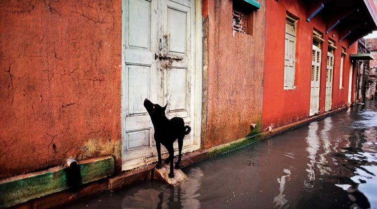 Striking Color Photos by Legendary Photographers