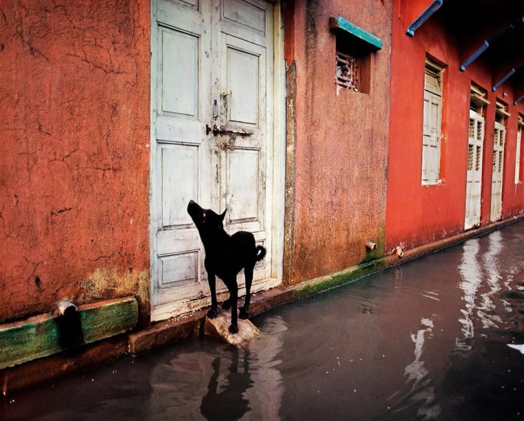 30 Striking Color Photos by Legendary Photographers That Showcase Pure Visual Art