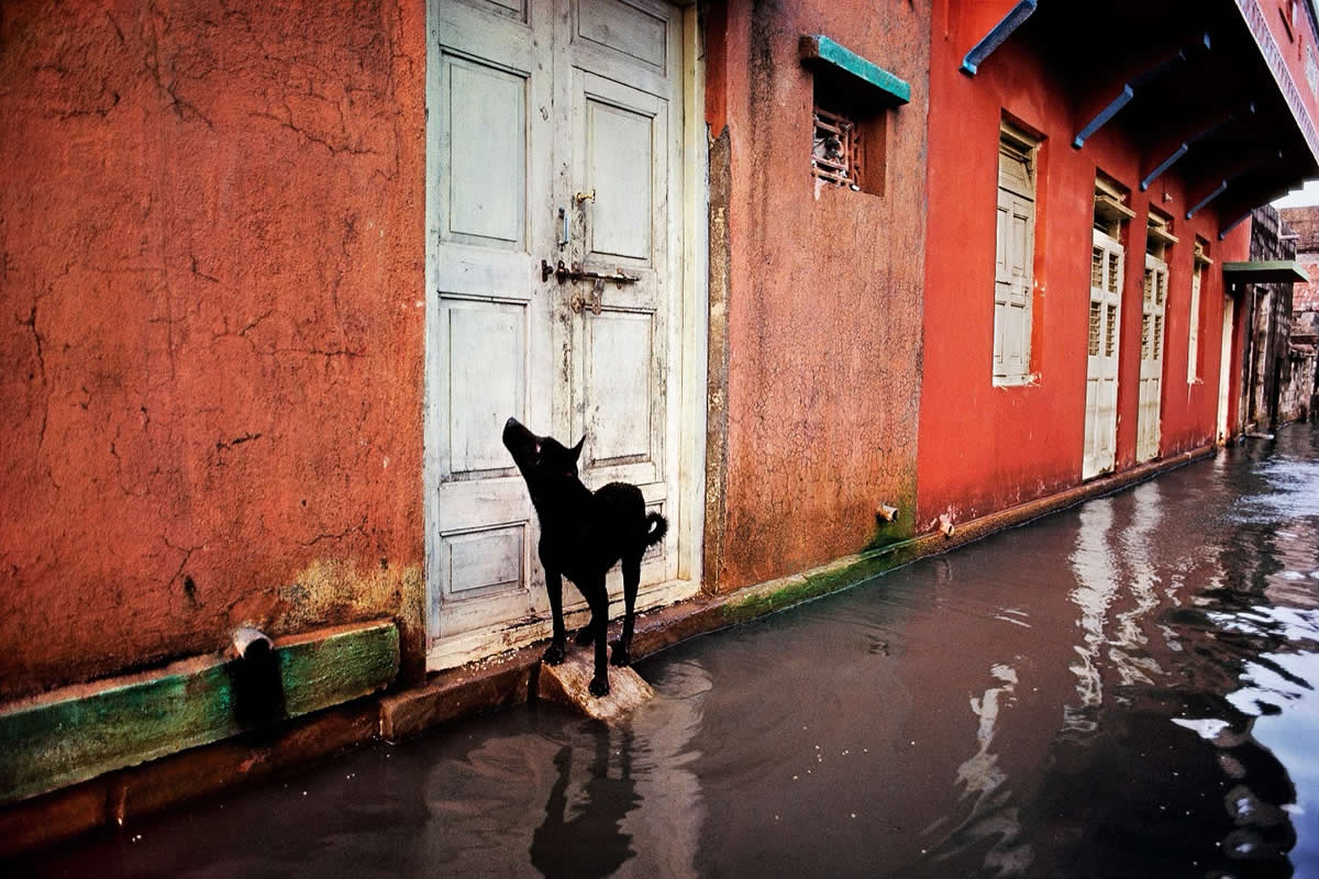 Striking Color Photos by Legendary Photographers