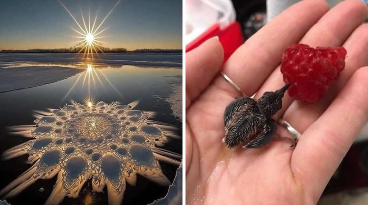 Unusual And Beautiful Photographs