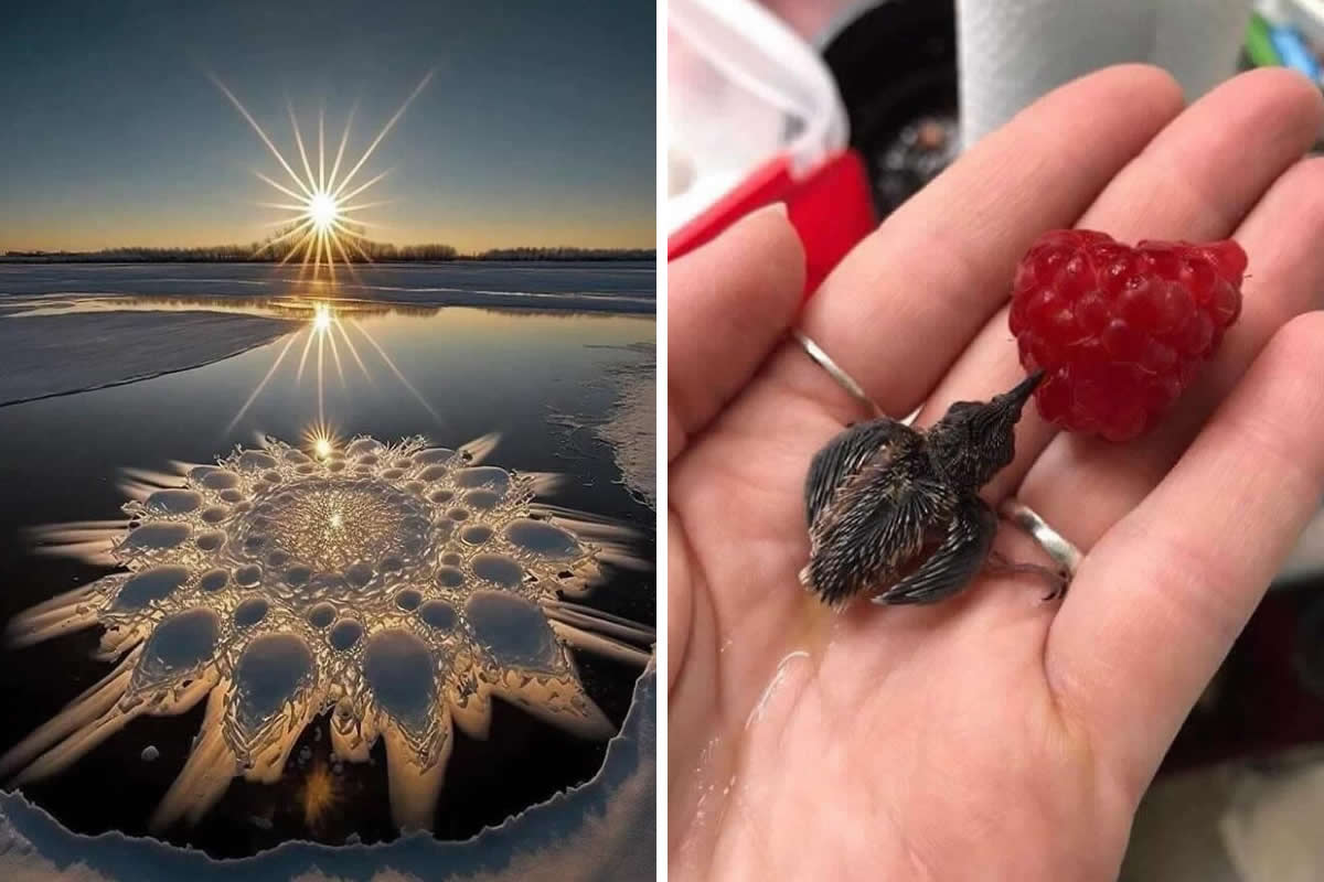 30 Surreal and Striking Photos That Reveal the Beauty of the Unexpected