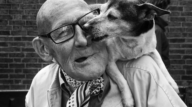 Touching Photos That Capture the Deep Connection Between Humans and Animals