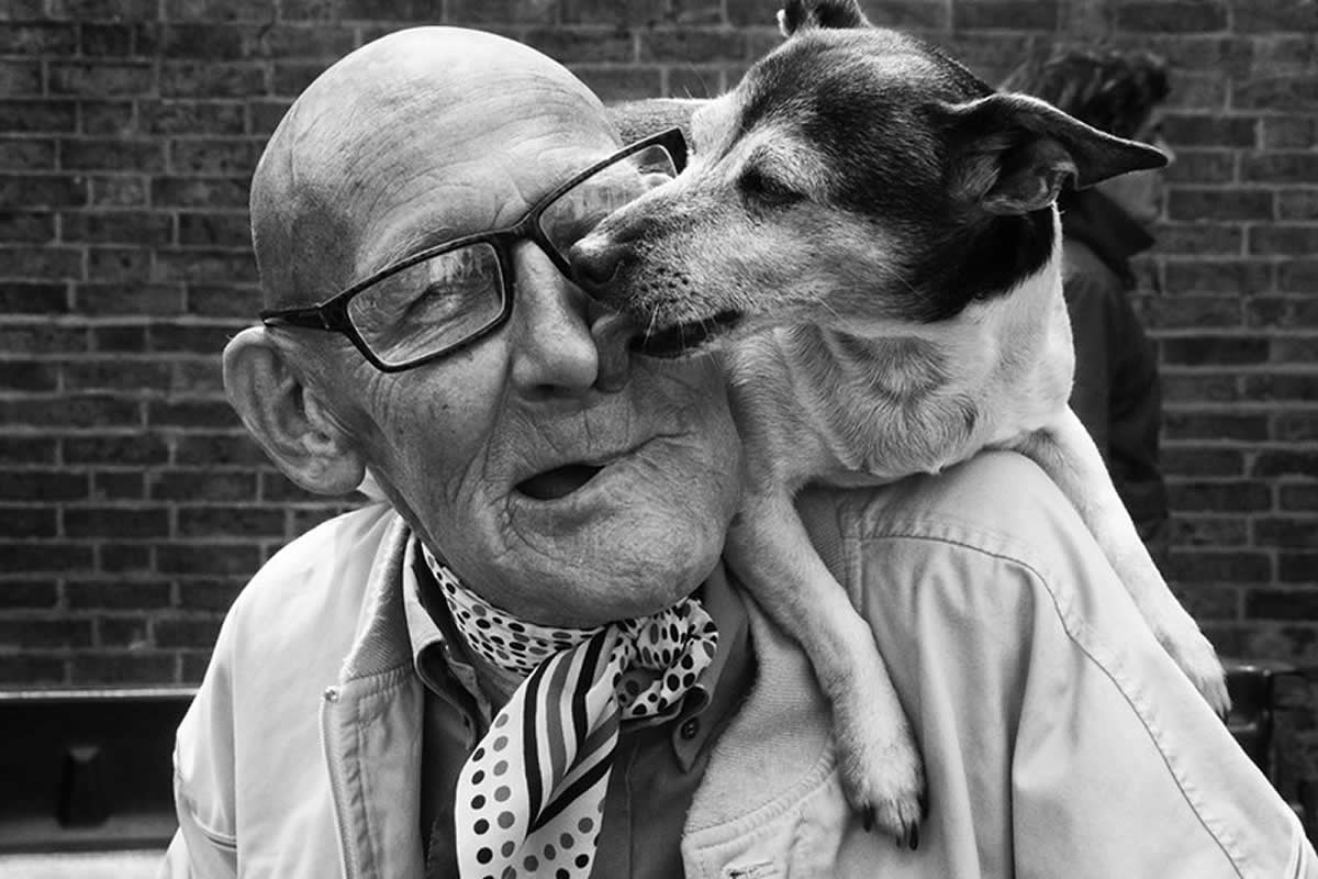 30 Touching Photos That Capture the Deep Connection Between Humans and Animals