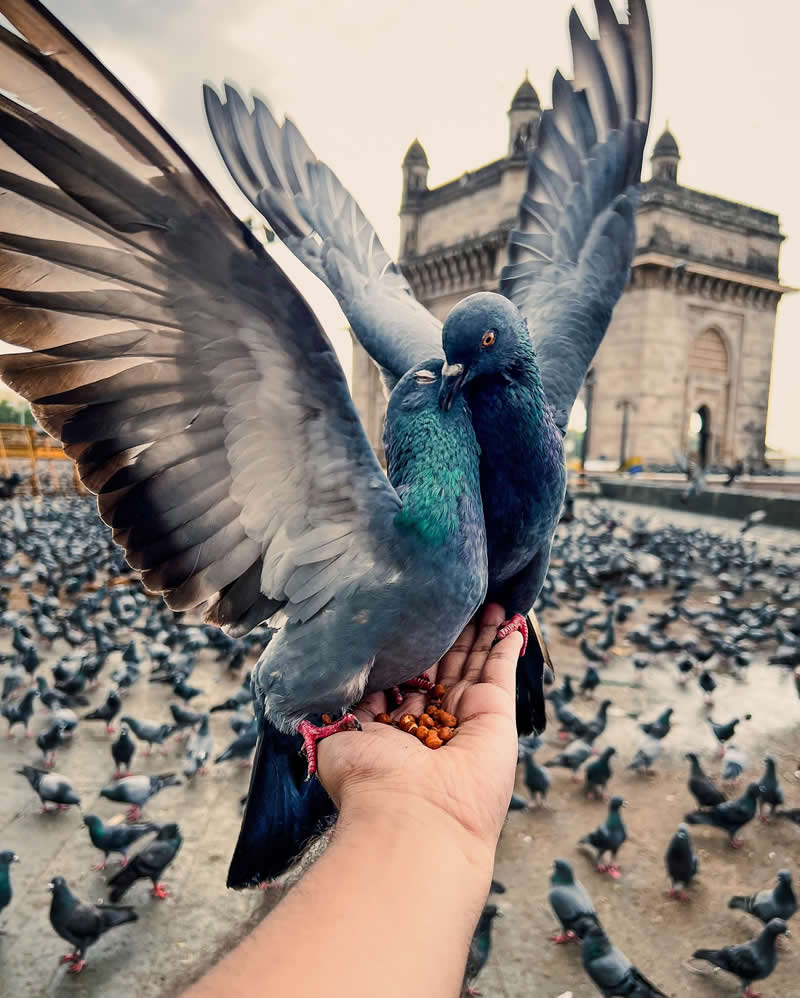 Travel Photography by Sanket Joshi