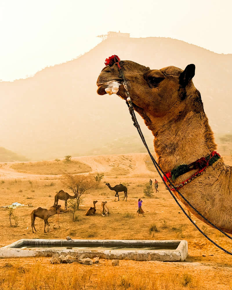 Travel Photography by Sanket Joshi