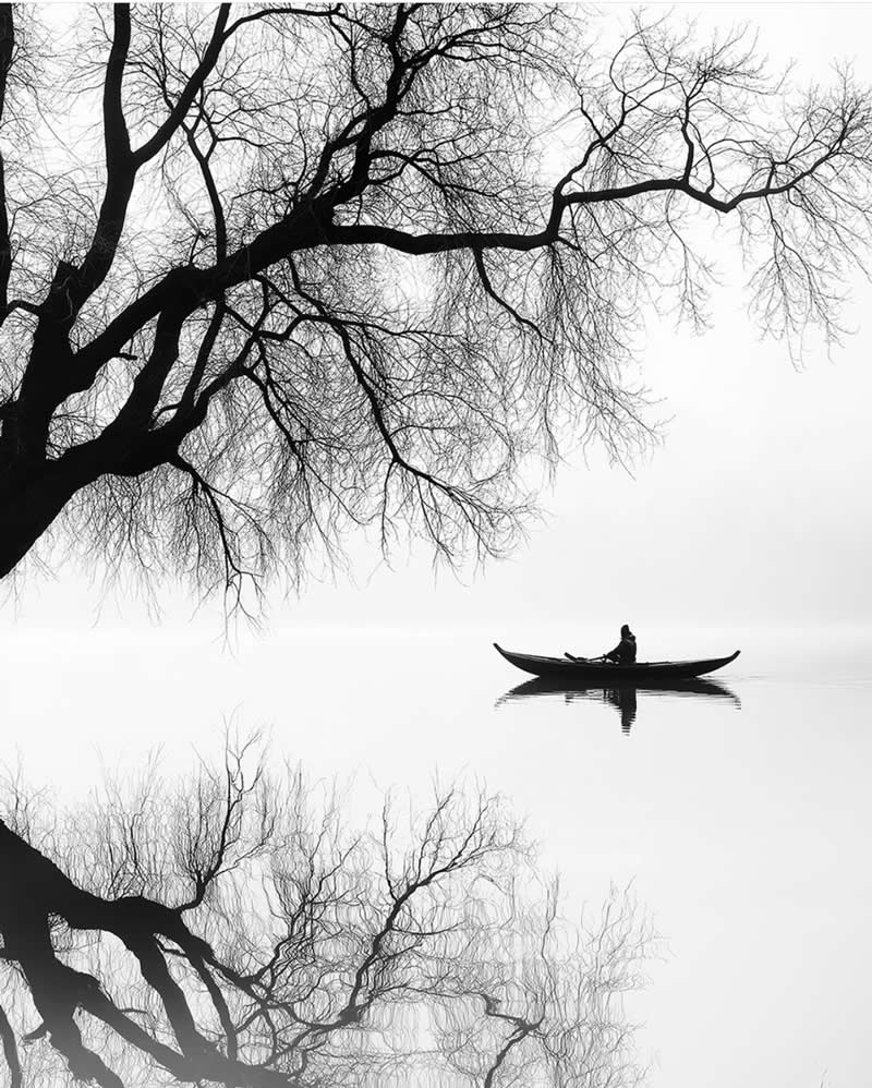 Fine Art Nature Trees Photography by Helena Georgiou