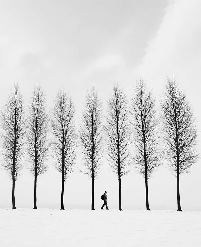 Fine Art Nature Trees Photography by Helena Georgiou
