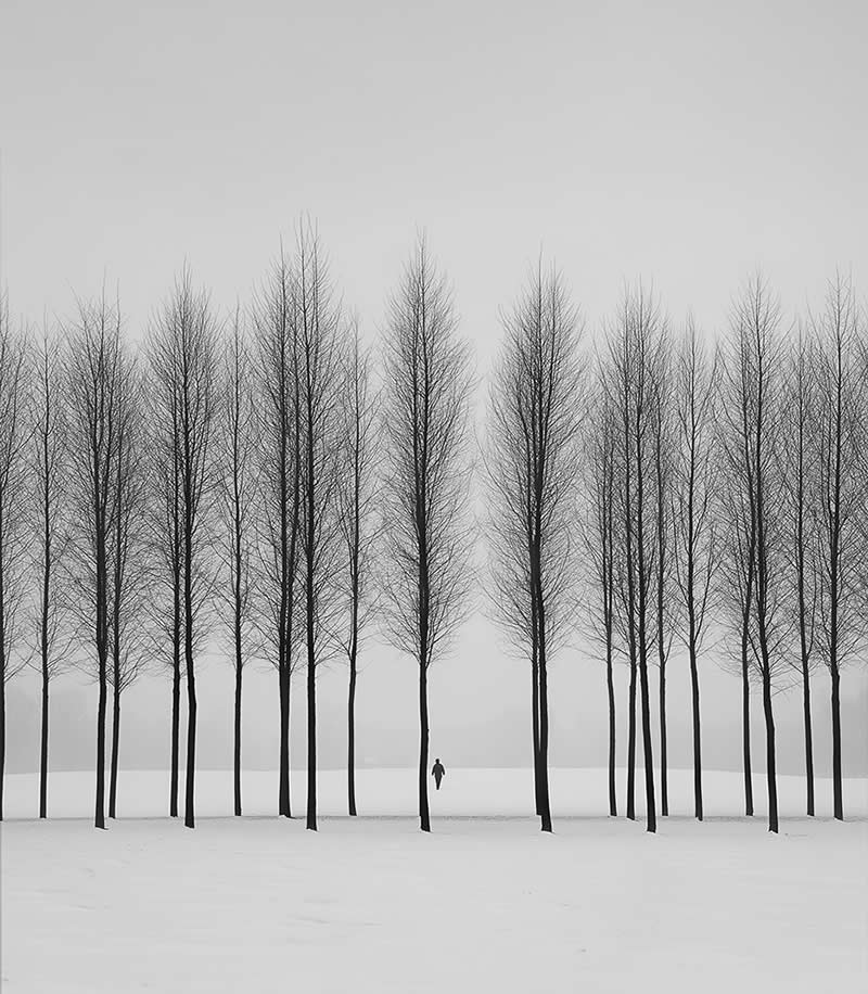 Fine Art Nature Trees Photography by Helena Georgiou