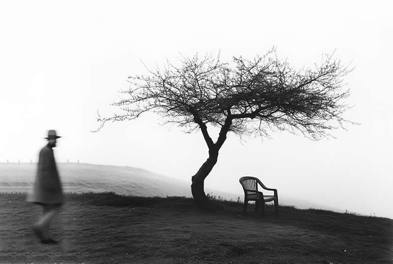 Fine Art Nature Trees Photography by Helena Georgiou