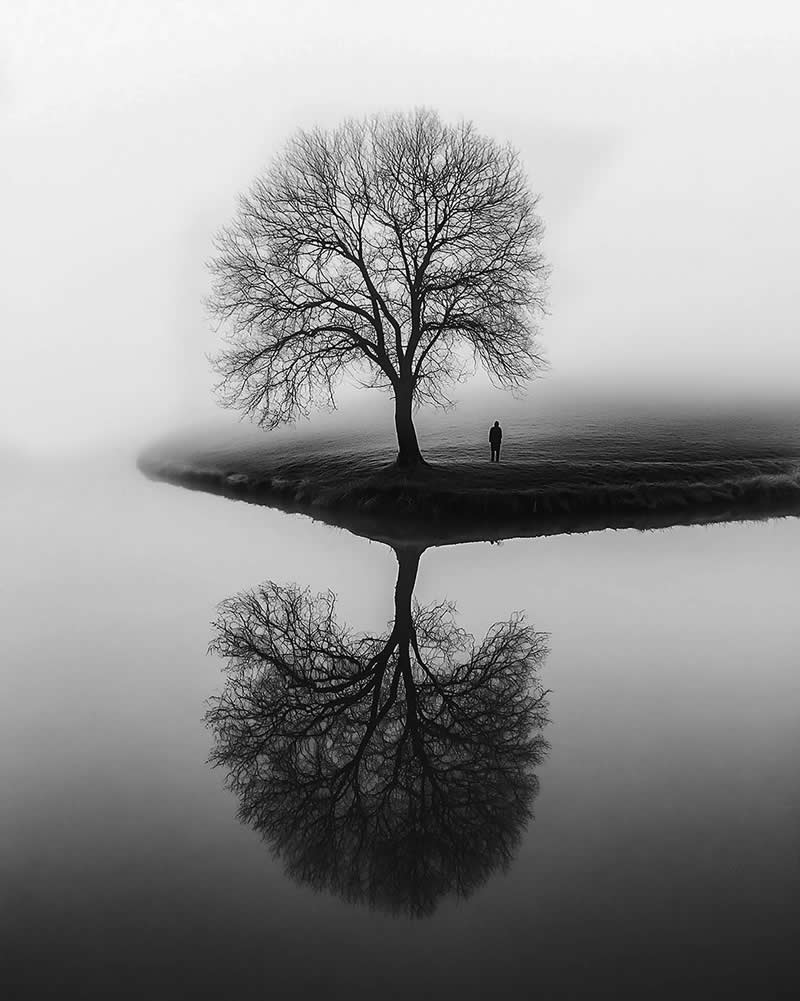 Fine Art Nature Trees Photography by Helena Georgiou