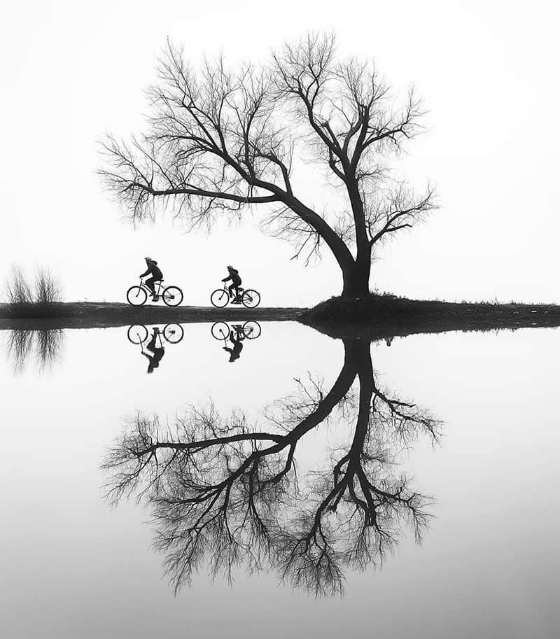 Fine Art Nature Trees Photography by Helena Georgiou