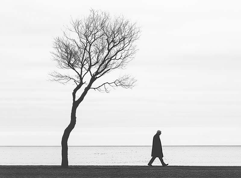Fine Art Nature Trees Photography by Helena Georgiou