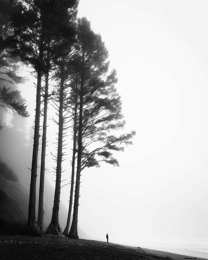 Fine Art Nature Trees Photography by Helena Georgiou