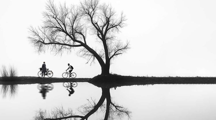 Fine Art Nature Trees Photography by Helena Georgiou