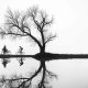 Fine Art Nature Trees Photography by Helena Georgiou