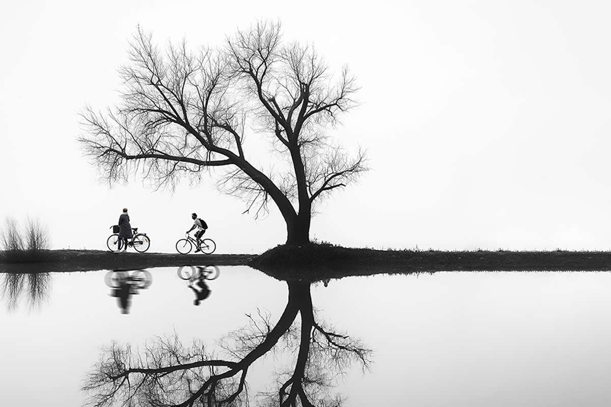 20 Evocative Tree Photos by Helena Georgiou That Unveil the Poetry of Nature in Black and White