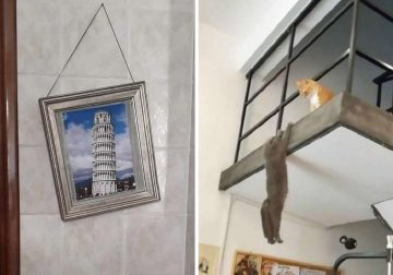 Unusual Photos That Raise More Questions Than They Answer