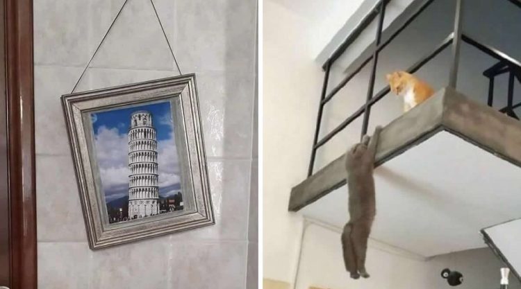 Unusual Photos That Raise More Questions Than They Answer