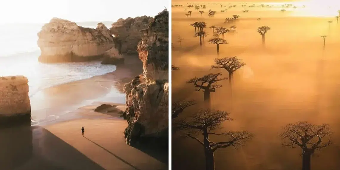 30 Breathtaking Drone Photos That Will Inspire Your Next Adventure 32 Rocky beach with lone figure and misty baobab trees, drone photos