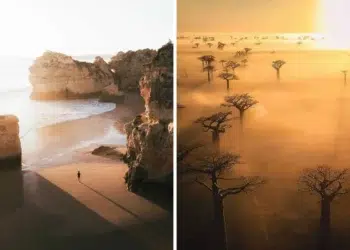 Rocky beach with lone figure and misty baobab trees, drone photos