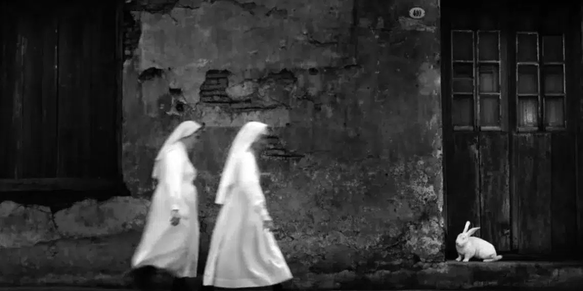 Two nuns walking past weathered wall with white rabbit, black and white daily life photo