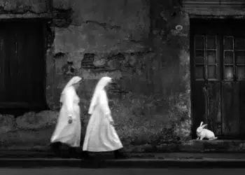 Two nuns walking past weathered wall with white rabbit, black and white daily life photo