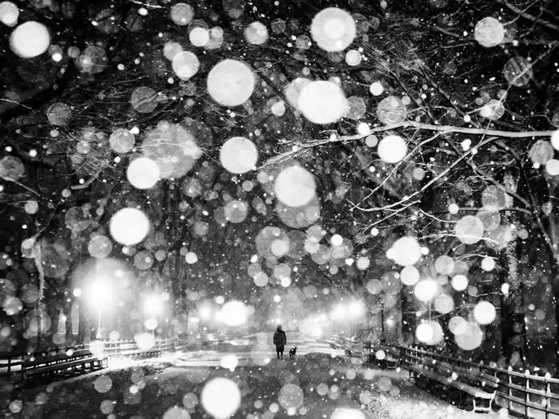 Black and White Winners from the 2025 AAP Magazine Awards