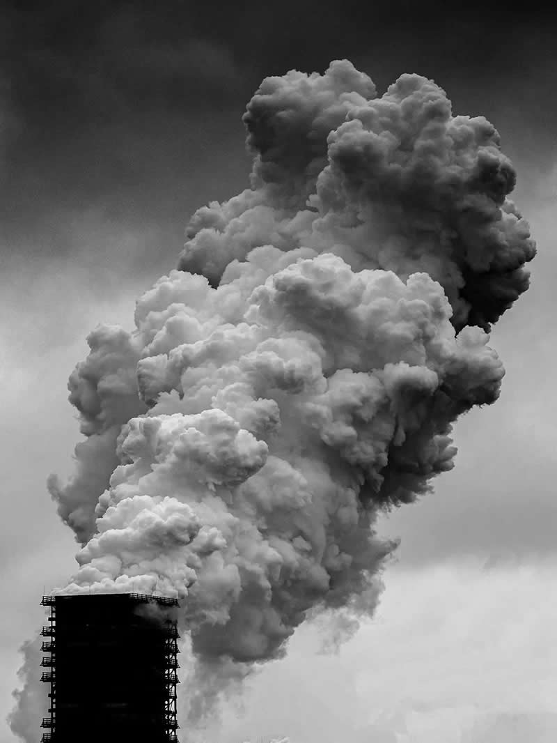 Black and White Winners from the 2025 AAP Magazine Awards