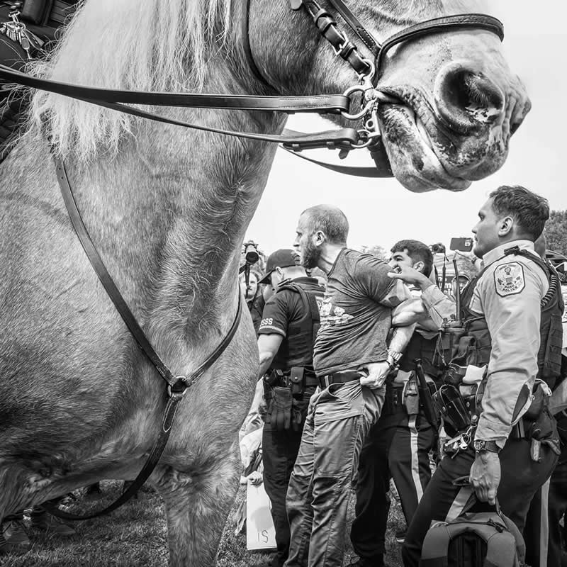 Black and White Winners from the 2025 AAP Magazine Awards