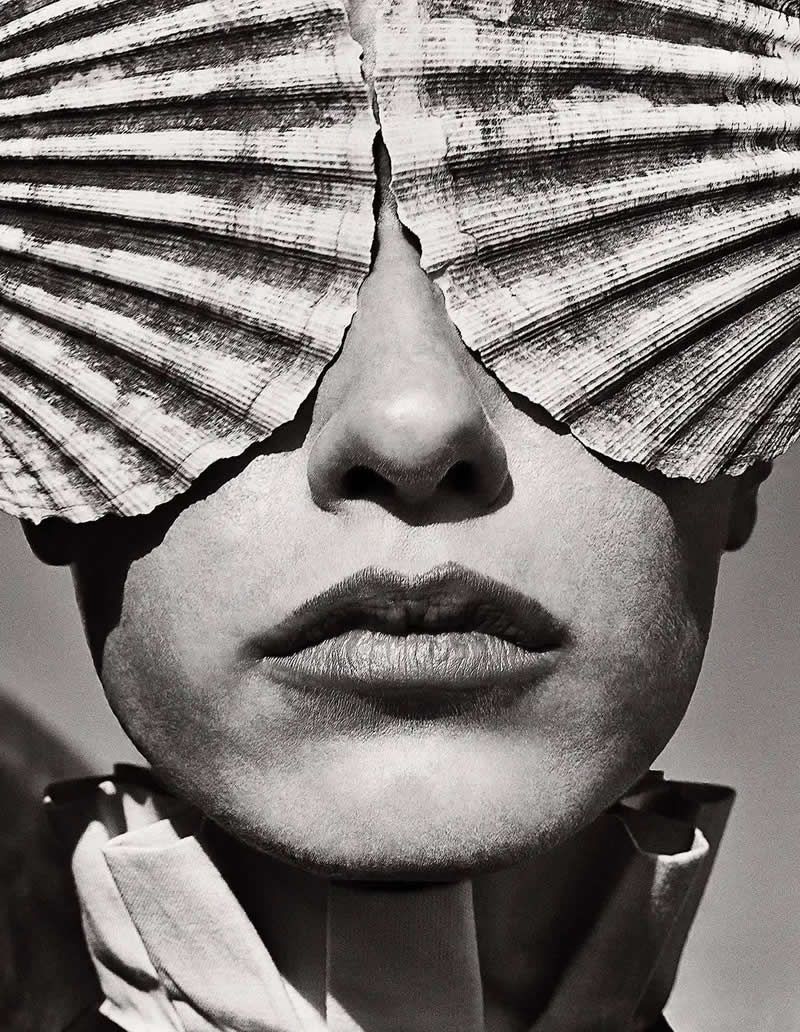 Black and White Winners from the 2025 AAP Magazine Awards